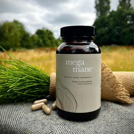 Mega Mane Hair Supplement