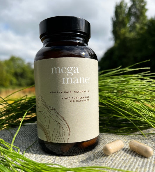 Advanced Herbal Hair Support Formula